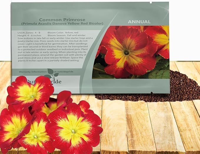 Outsidepride Danova Yellow Red Common Primrose Seeds - 50 Pcs Annual, Hardy, Easy to Grow & Low Maintenance Flower Seeds for Planting Vibrant Soft Blooms, for Containers, Borders & Erosion Control