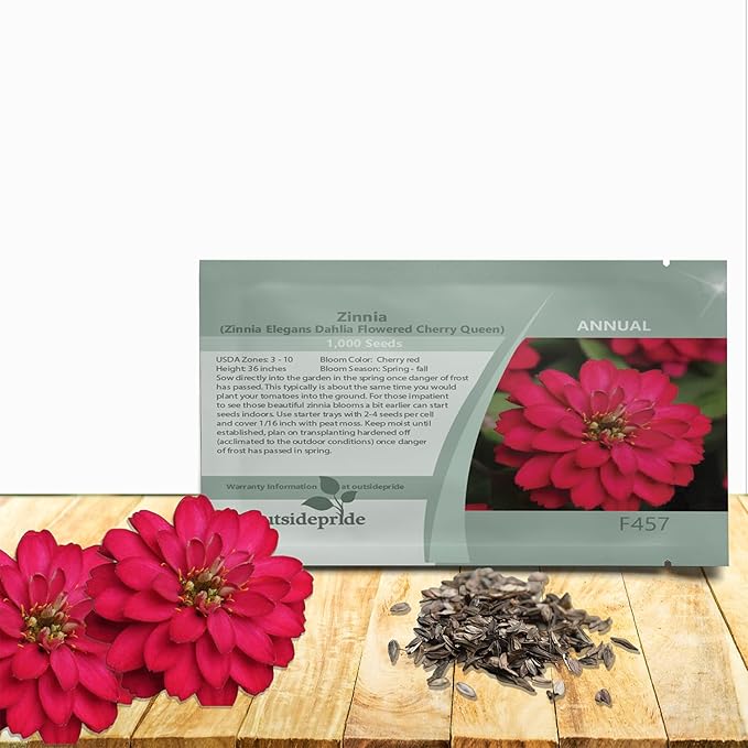 Outsidepride Dahlia Flowered Cherry Queen Zinnia Seeds - 2000 Pcs Annual, Hardy, Drought Tolerant & Deer Resistant, Ideal for Cut Flowers, Containers, Pots, Pollinator Gardens, Background & Borders