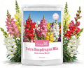 1500+ Tetra Mix Snapdragon Seeds for USDA 1-12 Planting, 18-24’’ Tall Snap Dragon Mix, Annual Flower Garden Seeds, Ideal for Garden, Containers