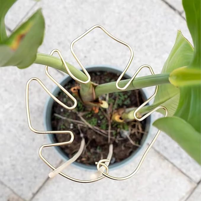 Honbay 5PCS Iron Monstera Stem Support Frame 6-Leaf Gold Alloy Plant Support Bracket for Indoor Outdoor Plants, Flower Stem Support for Garden Home