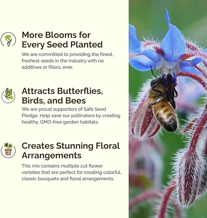 Eden Brothers Bee Happy Organic Wildflower Mixed Seeds for Planting, 1 oz, 30,000+ Seeds with Cosmos, Crimson Clover | Attracts Pollinators, Plant in Spring or Fall, Zones 3, 4, 5, 6, 7, 8, 9, 10