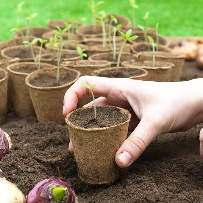 TAOLABV 30 Packs Peat Pots, 3.1 Inch Seed Starting Pots Without Drainage Holes, Biodegradable Round Nursery Pot, Starting Seeds of Vegetables, Herbs, and Flowers