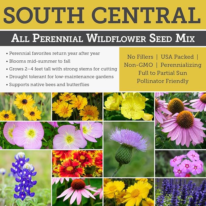 Willard & May South Central All Perennial Wildflower Seed Mix, 25,000+ Flower Seeds, 18 Varieties, Heat and Drought Tolerant, Pollinator Friendly, Plant in Spring or Fall (1 Ounce)