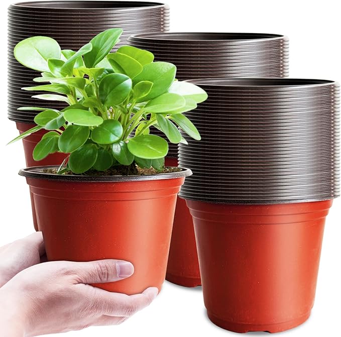 Baaxxango 100 Pcs Plant Nursery Pots,6 Inch Thicker Plastic Seedling Pots with Holes,Seed Starting Pot Flower Plant Container for Succulents,Seedlings,Cuttings,Transplanting