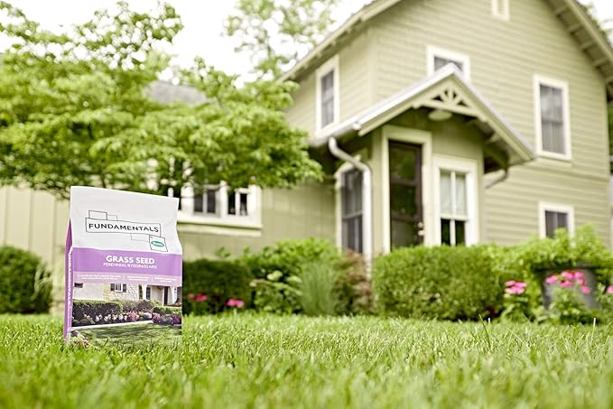 Scotts Grass Seed Perennial Ryegrass Mix, Ideal for Sunny, High Traffic Areas and Erosion Control, 3 lbs.