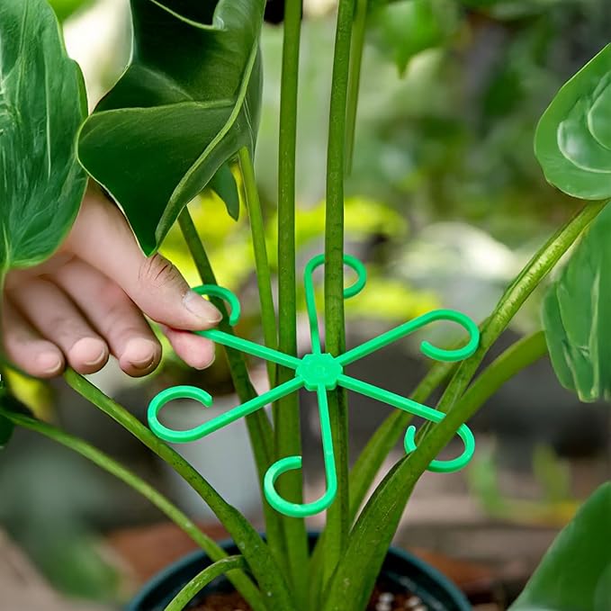 4Pcs Plant Stem Supports, Reusable Plastic Plant Accessories Indoor, Monstera Plant Support for Climbing Houseplants, Stakes Trellis Stem Hook Growth Tools for Neat Garden Arrangement(Green)
