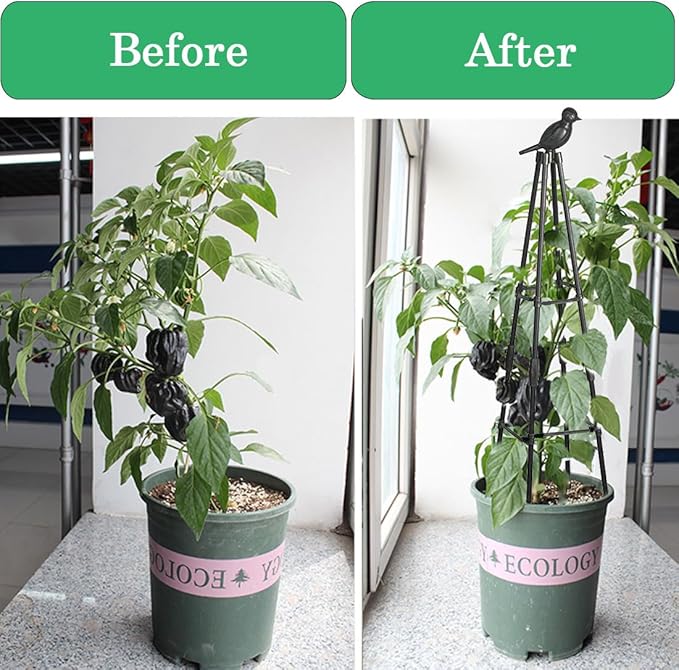 Garden Trellis,Plant Support for Climbing Plants, 1 Pack Plant Trellis Support for Climbing Vine, 63" Plant Support Tower Cages Plastic Coated Metal Pipe Supports for Outdoor Indoor, Tomato cage