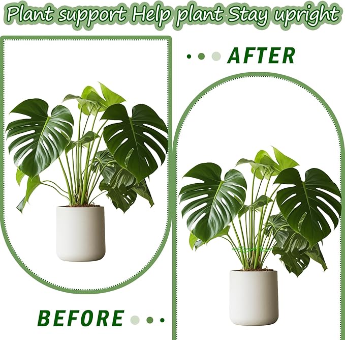 Chunful 24 Pcs Plant Stem Support 4 Sizes Climbing Houseplant Stem Holders, Plastic Reusable Flower Trellis Hook Plant Care Growth Accessories for Flower Plants Indoor Outdoor