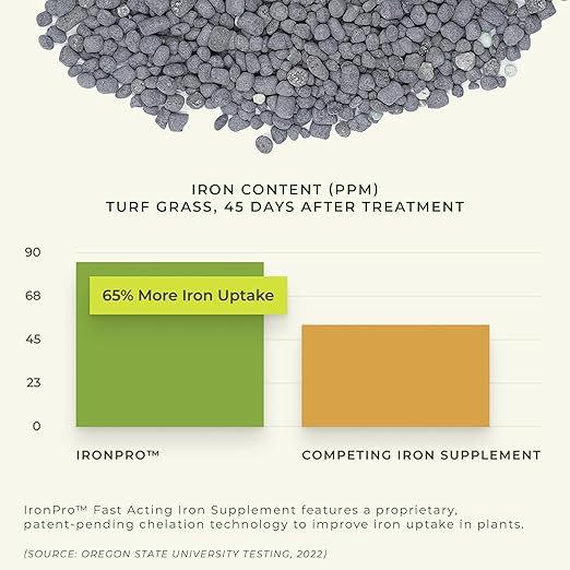 Earth Science IronPro Fast Acting Lawn Garden Iron Supplement–5 lb–Deep Green Results for Grass, Flowers, Vegetables, & Shrubs, Non-Staining & Non-Burning, Easy Apply Formula, Covers 1600 Sq. Ft