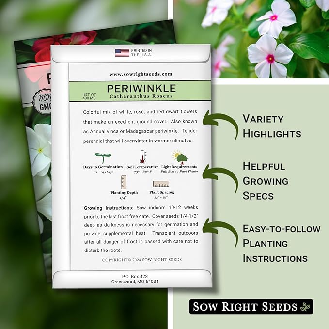 Sow Right Seeds - Periwinkle (Catharanthus roseus) Flower Seeds for Planting - Non-GMO Heirloom Packet with Instructions to Plant in Your Home Garden - Colorful Favorite - Attract Pollinators (1)