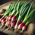 100+ Seeds Red Welsh Onion - Vegetable Red