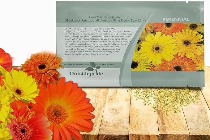 Outsidepride Fire Dark Eye Mix Gerbera Seeds - 20 Pcs Perennial, Compact & Low Maintenance, Flower Seeds for Planting w/Vibrant Mixed Blooms, Ideal for Garden Landscaping & Cut Flower Arrangements