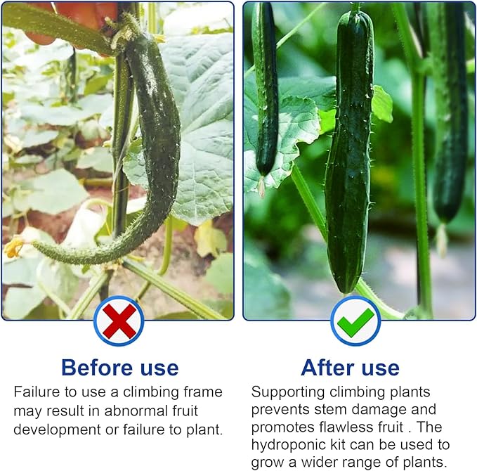 Hydroponics Plant Climbing Frame with Climbing Rope,Plant Trellis for Climbing Plants Outdoor,Detachable Garden Trellis for Vine Plants