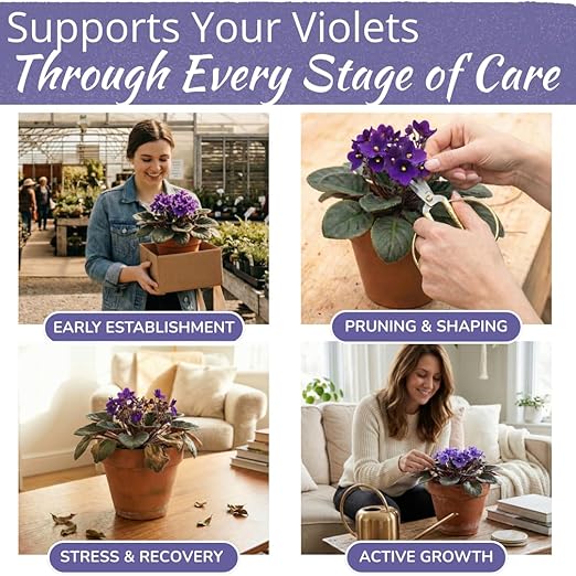 African Violet Fertilizer | Premium Liquid Plant Food for Strong Roots & Lush Blooms | Gentle, Balanced 3-3-3 Formula with Essential Micronutrients | Sea Kelp, Humic & Fulvic Acid | Made in USA | 8 oz