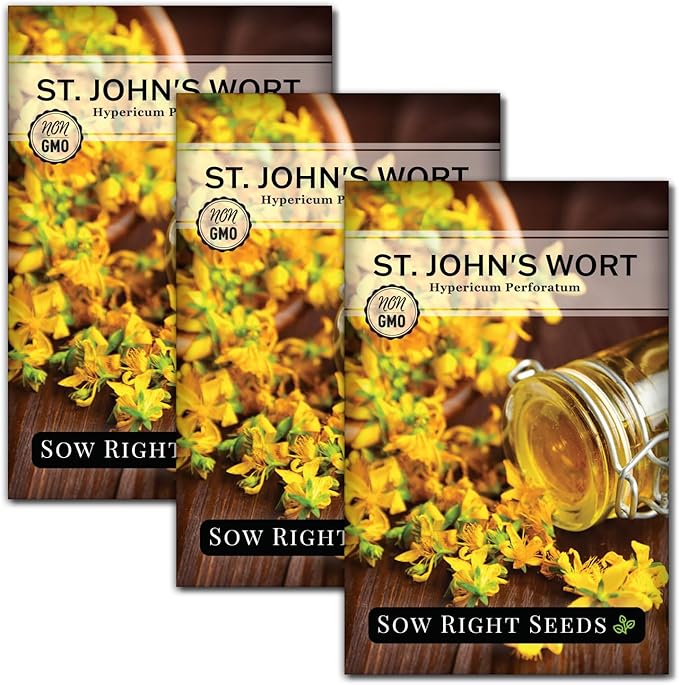 Sow Right Seeds - St John’s Wort Seeds for Planting - Non-GMO Heirloom Packet with Instructions to Plant & Grow an Outdoor or Indoor Herb Garden - Native Wildflower with Medicinal & Culinary Uses (3)
