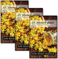 Sow Right Seeds - St John’s Wort Seeds for Planting - Non-GMO Heirloom Packet with Instructions to Plant & Grow an Outdoor or Indoor Herb Garden - Native Wildflower with Medicinal & Culinary Uses (3)