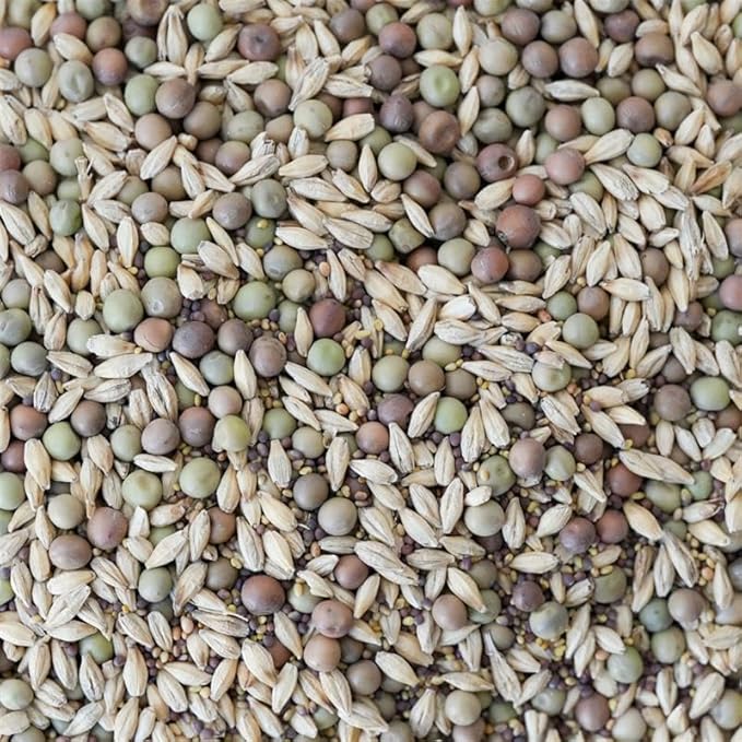 Spring Mix Cover Crop Seeds – 4 oz (~2,400 Seeds) – Non-GMO, Annual, No-Till, Forage-Friendly – Barley, Field Peas, Red Clover, Mustard – Soil Health, Weed Suppression, Water Retention – USA Grown