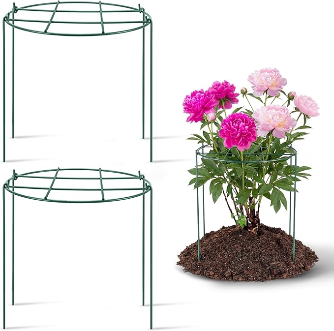 Novabright 2 Pcs 24" H x 20" D Large Peony Cage and Support Grow Through Plant Supports Round Garden Flower Stake Plants Ring Hoop for Outdoor Floral Tomato Vegetable Improve Planting Success Rate