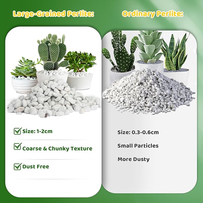 Organic Chunky Perlite for Plants (0.4"-0.8" in Diameter), Natural Horticultural Soil Additive Conditioner Mix, Improve Drainage and Ventilation, Enhance Soil Health and Root Growth (1 Quart)