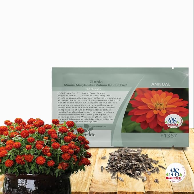 Outsidepride Marylandica Zahara Double Fire Zinnia Seeds for Planting Outdoors – 50Pcs Annual, Heat & Drought Tolerant, Butterfly-Attracting, Ideal for Plant Beds & Cut Flower Garden (AAS Winner)