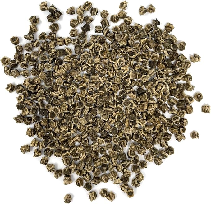 Purely Organic Golden Detroit Beet Seeds - Approx 500 Seeds - USDA Organic, Non-GMO, Open Pollinated, Heirloom, USA Origin