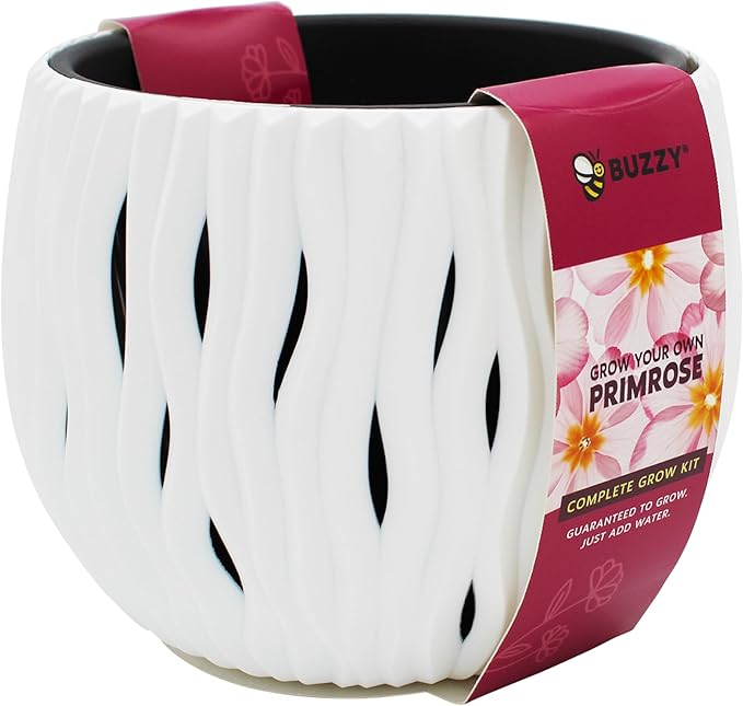 BUZZY Seeds Primrose Flower Grow Kit, White Wavy Pot, Mini Indoor Garden, Easy-to-Grow Decorative Planter for Desk, Windowsill or Small Spaces, Holiday Present, Birthday Gift for Women