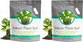 Perfect Plants Indoor Plant Soil 8qt | Perfectly Balanced Potting Mix | Gardening Substrate for All Varieties of Live houseplants (Pack of 2)