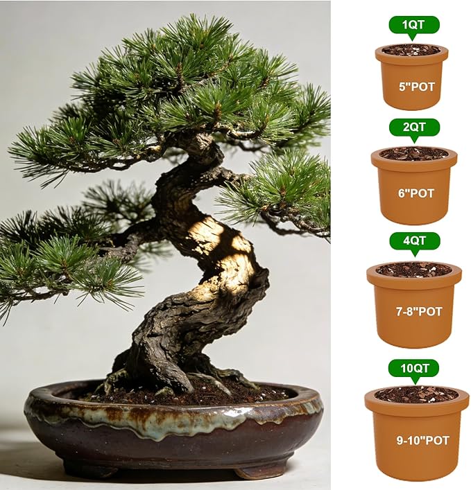 Premium Bonsai Soil Mix for Pine Trees 1qt，Breathable and Drainage Formula| Ideal for Bonsai Pots and Repotting