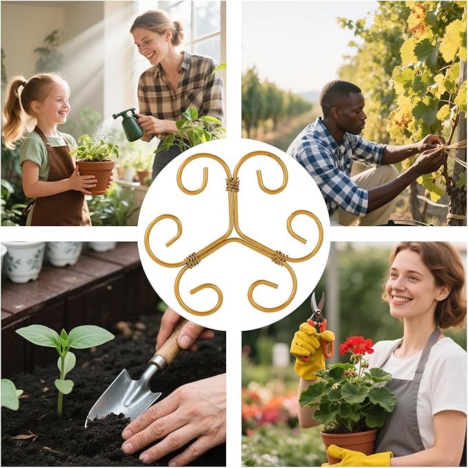 3 Pcs Monstera Plant Grapple Support, Heart Shaped Plant Support Stakes Stem Durable Stabilizer Grapple Holder for Outdoor and Indoor Planting Flowers Thriving Growth