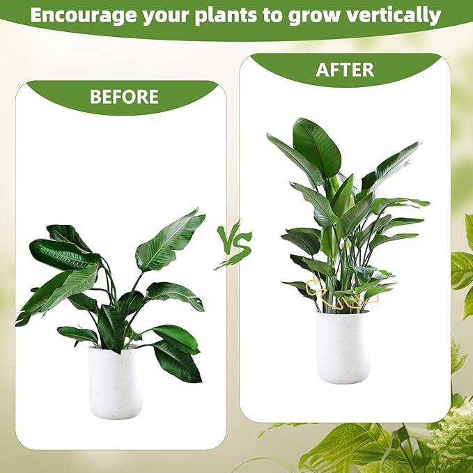 YBB 10Pcs Monstera Plant Stem Support, 2 Patterns Iron Monstera Stabilizer Plant Stem Holder Support Structures for Indoor Climbing Plants