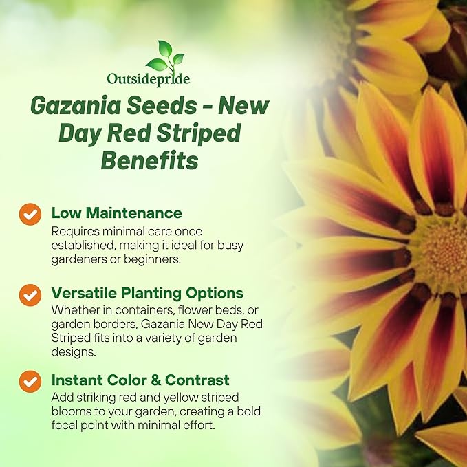 Outsidepride New Day Red Striped Gazania Seeds for Planting – 25 Pcs Perennial, Low-Maintenance, Drought-Tolerant Ground Cover Seeds for Vibrant Summer & Fall Flowers, Great for Outdoor Gardens
