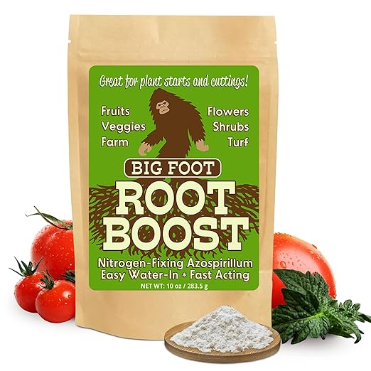 Big Foot Probiotic Root Boost Water Soluble Powder For Established Plants and Transplants - GROW ROOT SIZE, Increase Nitrogen, Grow New Plants from Cuttings, Pea Inoculant - 10 oz