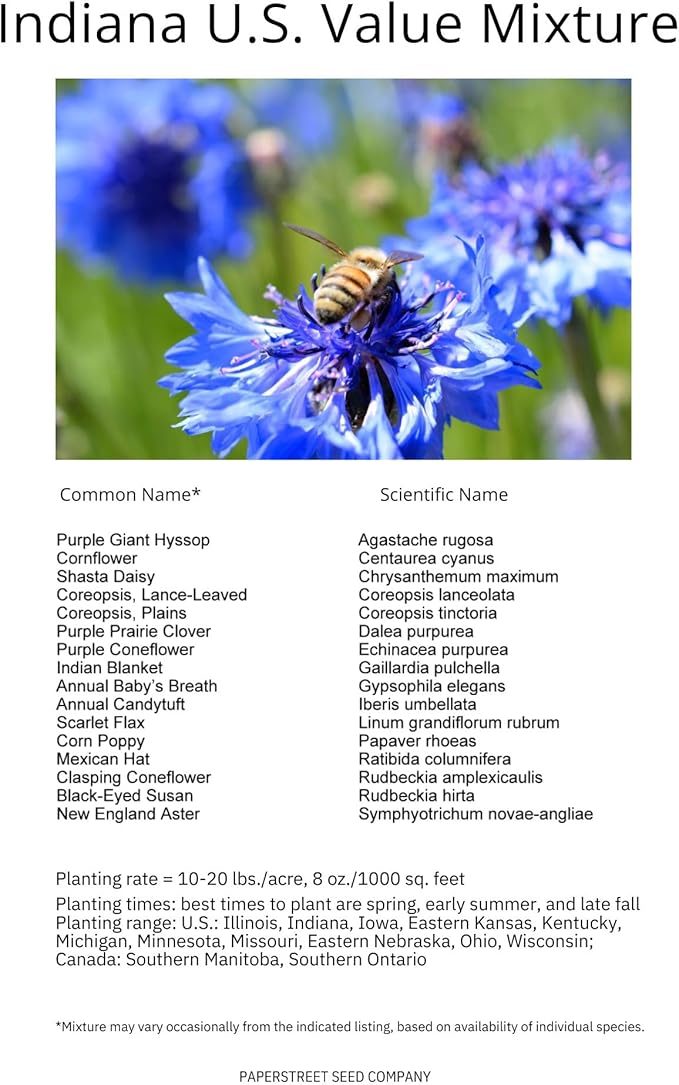 Indiana Bulk Perennial Wildflower Seed Mix 1lb Covers 2,000sq-ft - Attract Pollinators, Multi-Color Blooms - Midwest US Species Plant in Spring/Fall - Earth-Friendly Packaging (1/4 Pound)