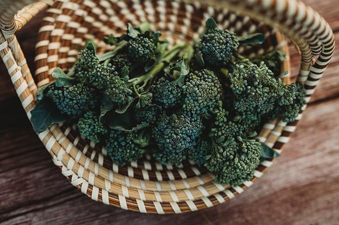 Di Cicco Broccoli (De Cicco)- 100 Seeds - Heirloom & Open-Pollinated Variety, USA-Grown, Non-GMO Vegetable Seeds for Planting Outdoors in The Home Garden, Thresh Seed Company