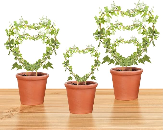 Hoya Trellis 3 Size Indoor Plants Flower Support Stakes Round or Heart Metal Trellis Set Garden Tool Accessories for Small Potted Vine Climbing Houseplants (GoldenH)
