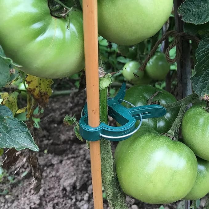 60PCS Garden Plant Supports Clips, 2 Sizes Adjusting Reusable Plant Clips for Supporting Stems of Flower Vine Vegetables Tomatoes Climbing