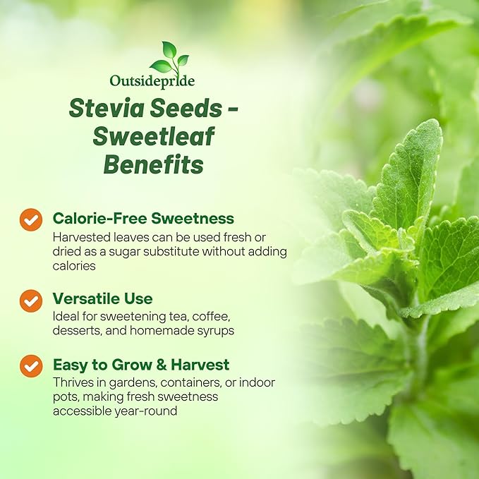Outsidepride Stevia Sweetleaf Seeds - 50 Pcs. Perennial, Versatile & Low Maintenance, Herb Seeds for Planting Tender & Sweet Leaves, Great for Culinary Creations, Tea Blends, and Homemade Recipes