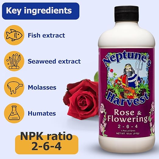 Neptune's Harvest Organic Plant Fertilizer | Liquid Fertilizer for Lawn, Garden & Houseplant | Rich in Essential Nutrients | Tomato & Veg 2-4-2 (Pint) + Rose & Flowering Plant Food 2-6-4 (Pint)
