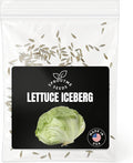 Fall & Winter Lettuce Iceberg Seeds for Indoor & Outdoor Planting – 500+ Non-GMO Heirloom Crisp Head Lettuce, High Germination (Lactuca Sativa)