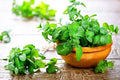 NIKA SEEDS - Seeds Herb Peppermint Mint Medicinal - 1000 Seeds