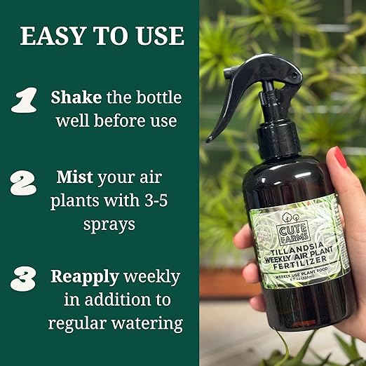 Cute Farms Tillandsia Air Plant Fertilizer | Gentle Weekly Use Formula Plant Food | Formulated Nutrients for Air Plants (Three - 8 oz. Spray Bottle)