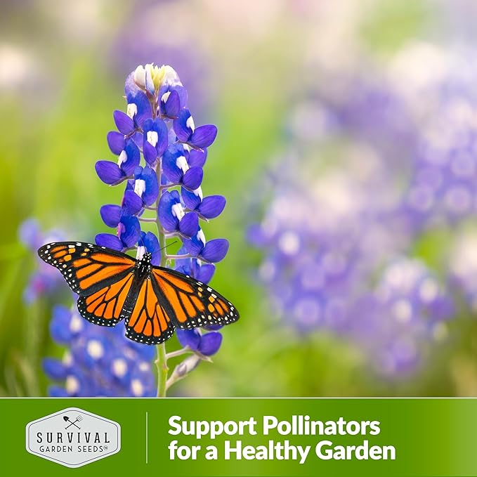 Texas Bluebonnet Seeds for Planting - 1 Packet with Instructions to Plant & Grow Lupinus Texenisis in Your Home Wildflower Garden - Non-GMO Heirloom Variety- Survival Garden Seeds - Drought Resistant