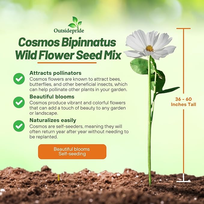 Outsidepride Sensation Mix Cosmos Bipannatus Seeds - 1 lb. Annual, Drought-Tolerant, Self-Sowing, Mixed Flower Seeds for Planting Outdoors, Easy-Grow Pollinator Garden & Cut Flowers (AAS Winner)