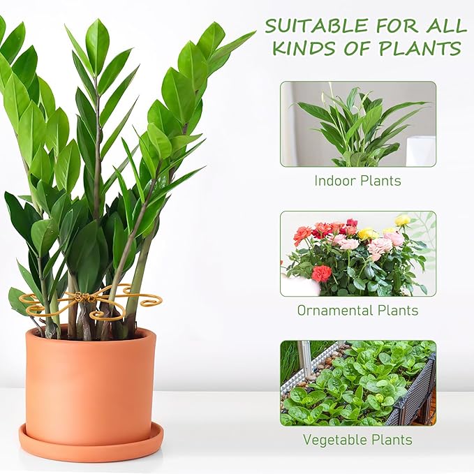 4-Pack Plant Stem Support, Plant Stabilizer for Indoor Plants, Monstera Plant Support System, Plant Stem Holder for Fixing Green Plants and Vines (B)