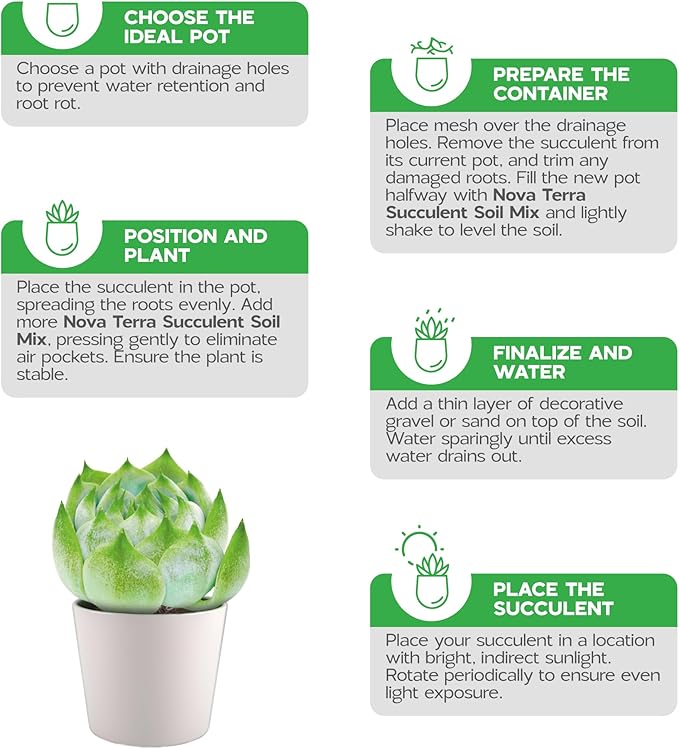 Succulent Soil Potting Mix Succulents Plants Live Succulent pots Potting Soil for Succulents Indoor suculentas Potting 2 oz Free Fertilizer Pellets Bag Inside 2.4 Qts
