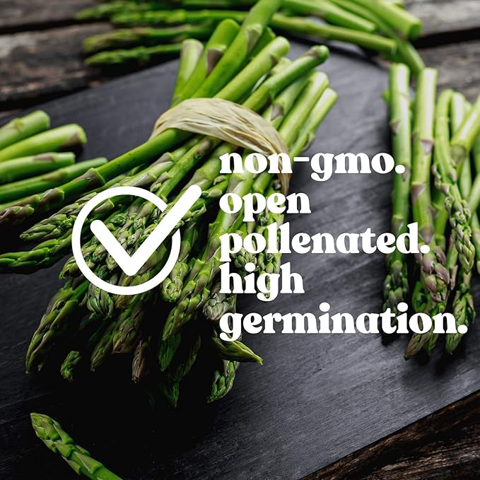 UC 72 Asparagus Garden Seeds - 2 g Packet ~60 Seeds - Non-GMO, Open Pollinated, Perennial Vegetable Gardening Seeds