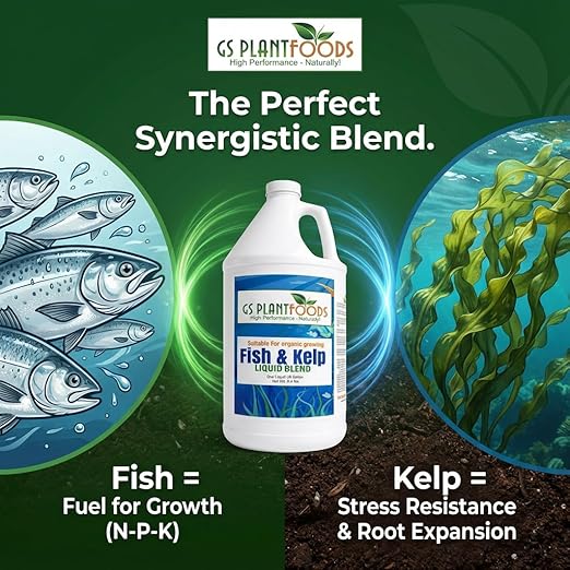 GS Plant Foods Liquid Fish & Kelp Fertilizer (1 Quart) – Organic Material Review Institute Listed Natural Plant Food for Home Gardens, and Vegetables
