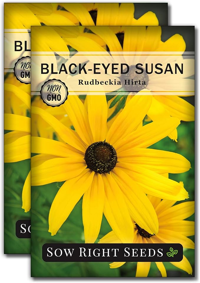 Sow Right Seeds - Black Eyed Susan Flower Seeds for Planting - Non-GMO Heirloom Seeds Packet to Plant a Home Garden - Perennial Wildflowers Attract Pollinators to Yard - Yellow with White Centers (2)