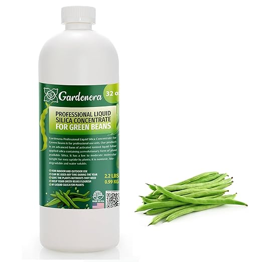 𝐏𝐑𝐎𝐅𝐄𝐒𝐒𝐈𝐎𝐍𝐀𝐋 Liquid Silica Plant Supplement - 32oz - Green Beans Plants Liquid Silica Boost Fertilizer - Stronger Stems & Healthy Leaves for Indoor & Outdoor Plants (Makes 180 Gallons)