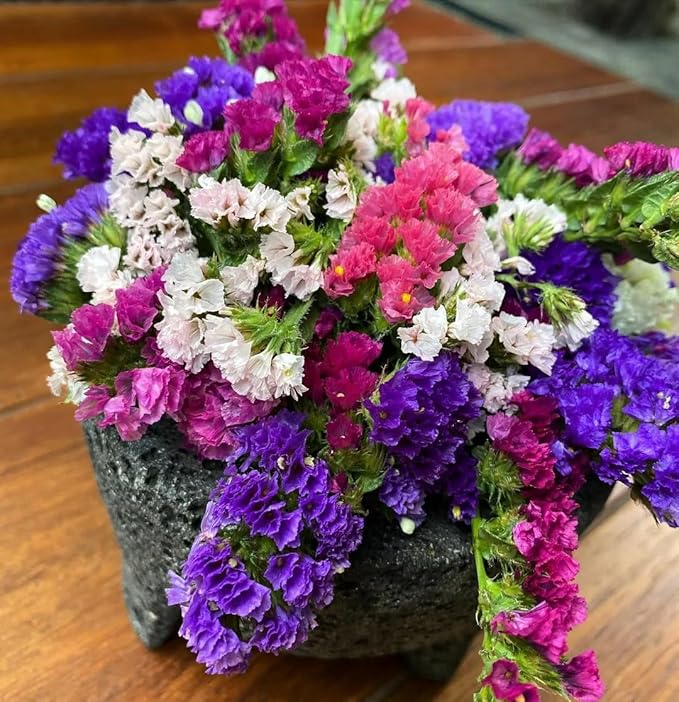 Seeds California Sea Lavender Mix/Seafoam/Statice/Marsh Rosemary/Annual Flowers